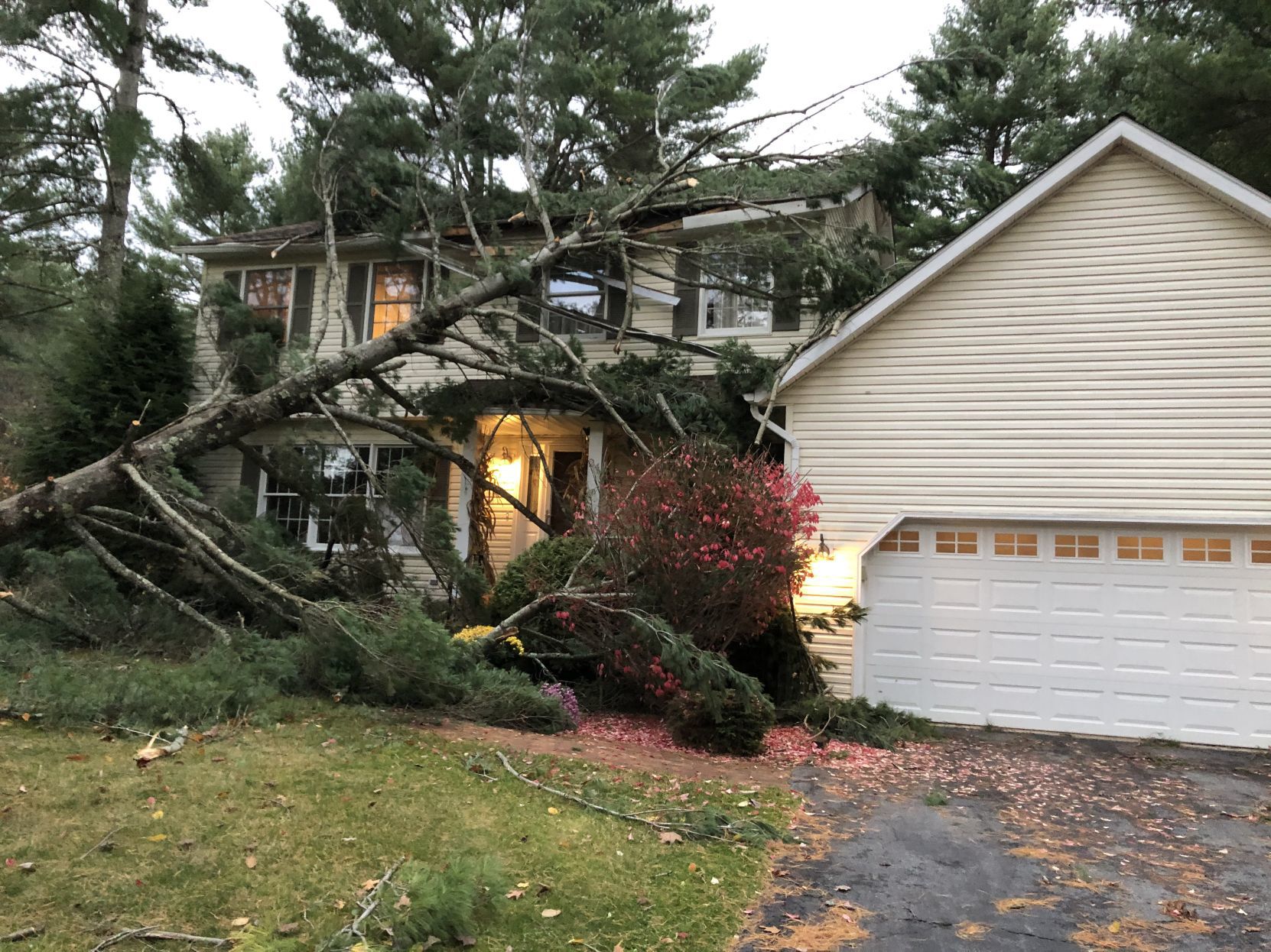 Tree on house